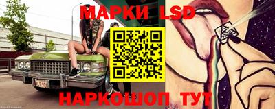 гашик Тверь