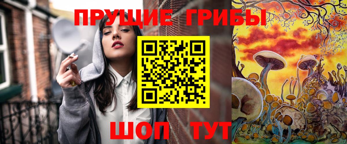 закладка  Вход с VPN  Мценск  Псилоцибиновые грибы мухоморы 