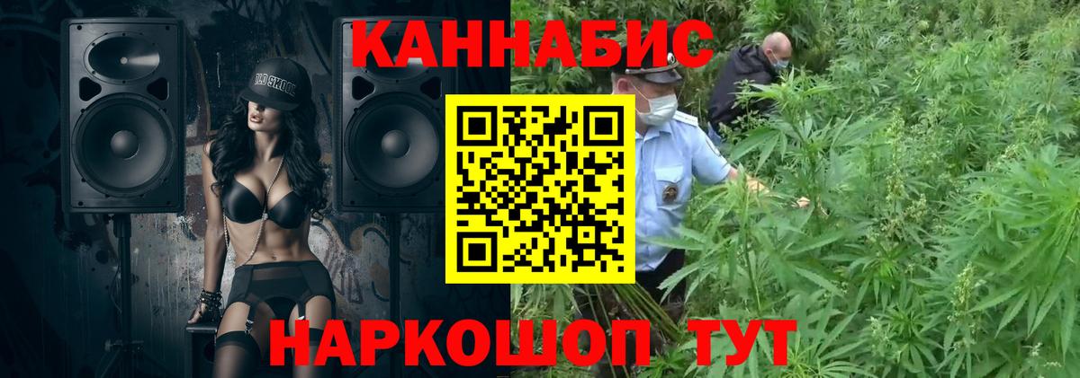 Конопля семена  Каннабис OG Kush  Марихуана ГИДРОПОН  Мценск  Вход с VPN 